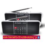 Double Speaker AM Gurbani Radio