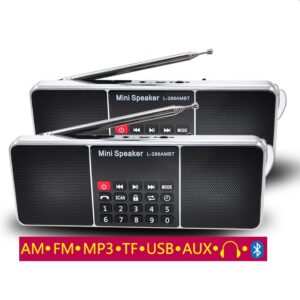 Double Speaker Gubani Radio L288ambt